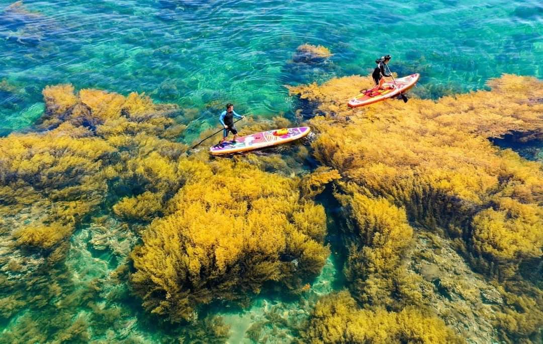 Clear shallow water off the Binh Dinh coast